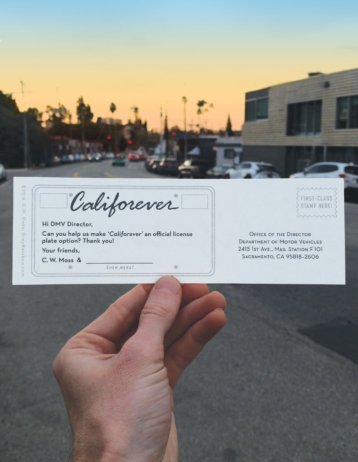 The 'Califorever' Bumper Sticker