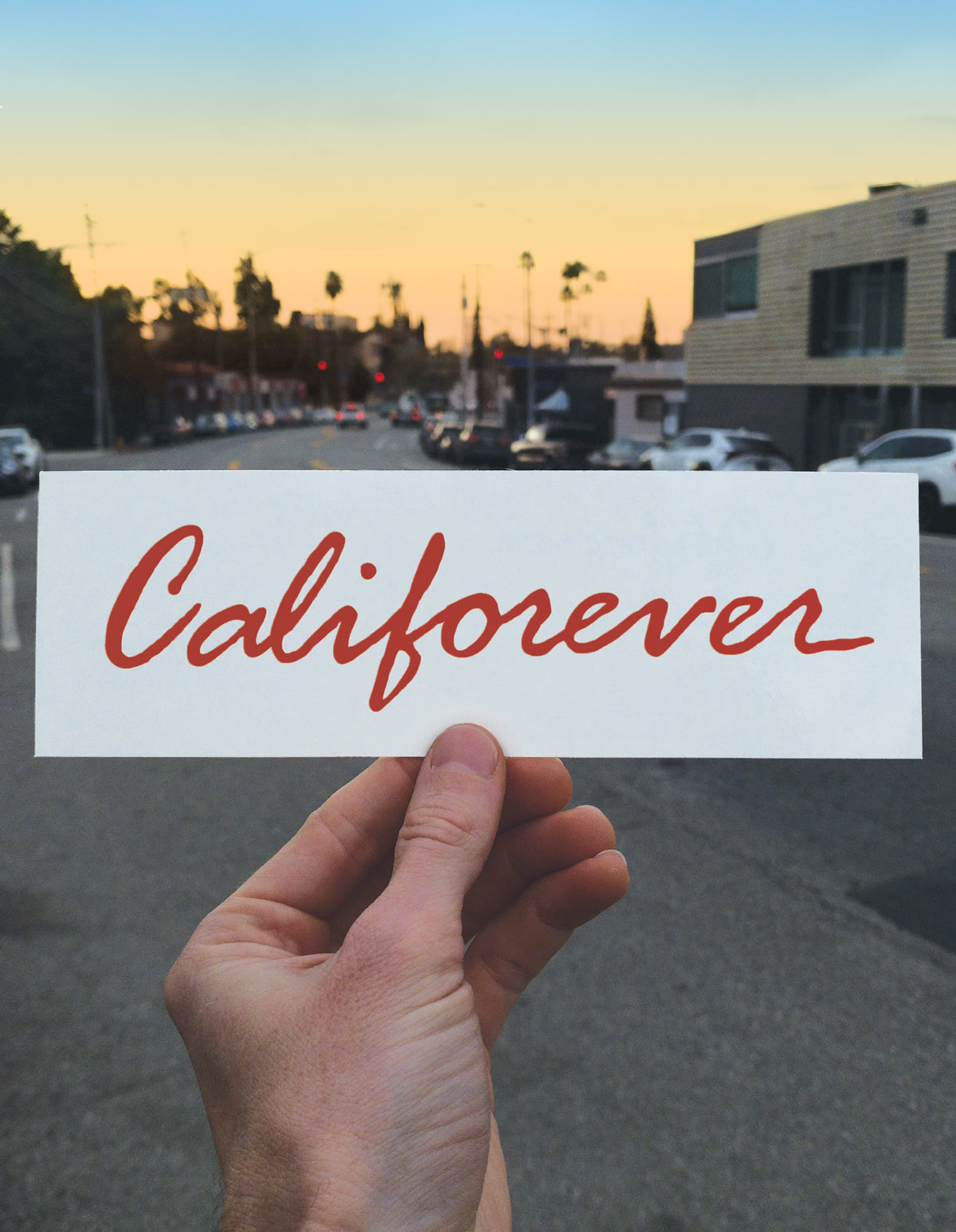 The 'Califorever' Bumper Sticker